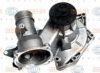 BMW 11517316800 Water Pump